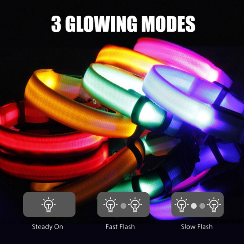 Velvet Dog Collar Manufacturer - Best Selling Eco-Friendly Training LED