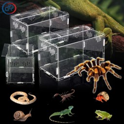 Acrylic Reptile Terrarium Manufacturer - Small Plastic Tank for Spider Lizard Snake