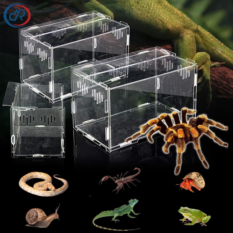 Acrylic Reptile Terrarium Manufacturer - Small Plastic Tank for Spider Lizard Snake