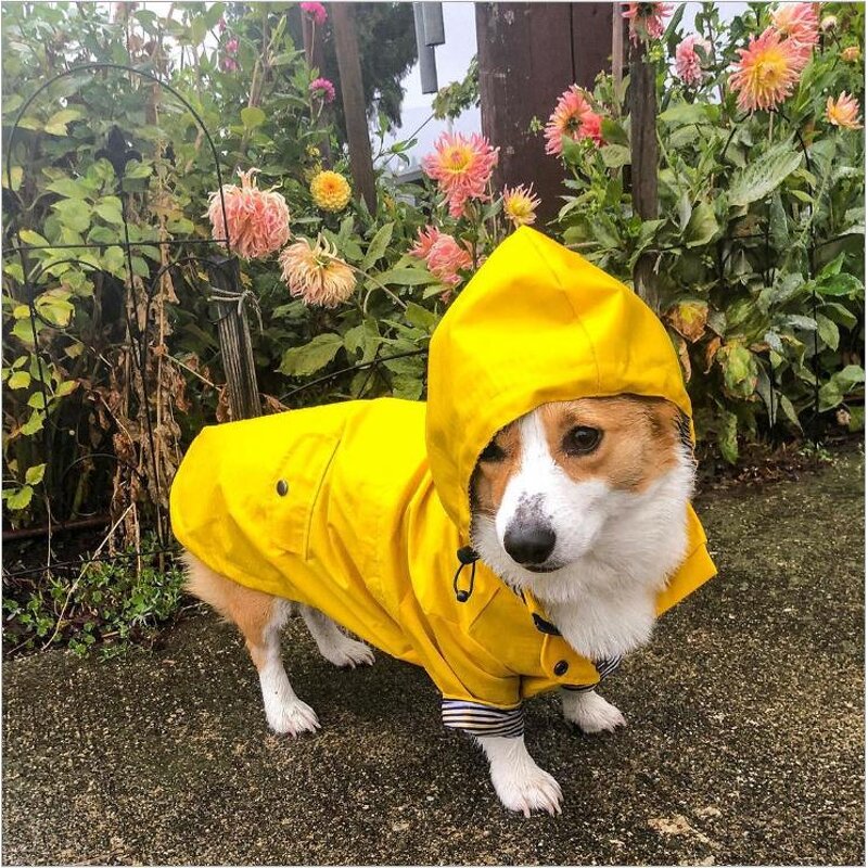 Dog Raincoat Manufacturer - British Style Hot Sale Yellow Stripe with Hood