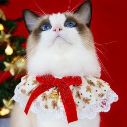 Christmas Cat Bib Bandana Set Manufacturer - Factory Wholesale Cute with Bow Tie