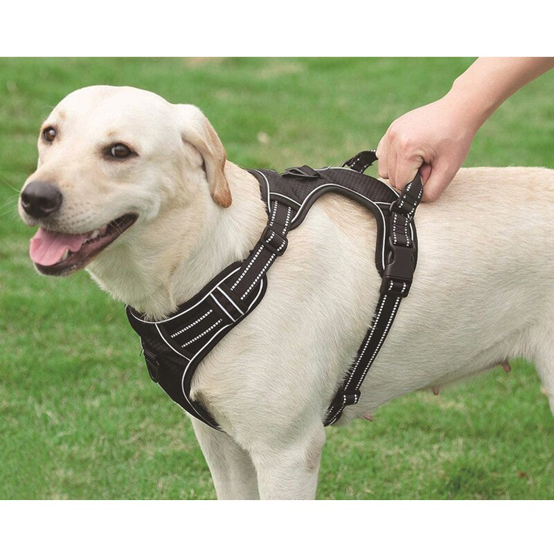 Soccer Texture Dog Harness Set Manufacturer - OEM/ODM Hot Sale for Training