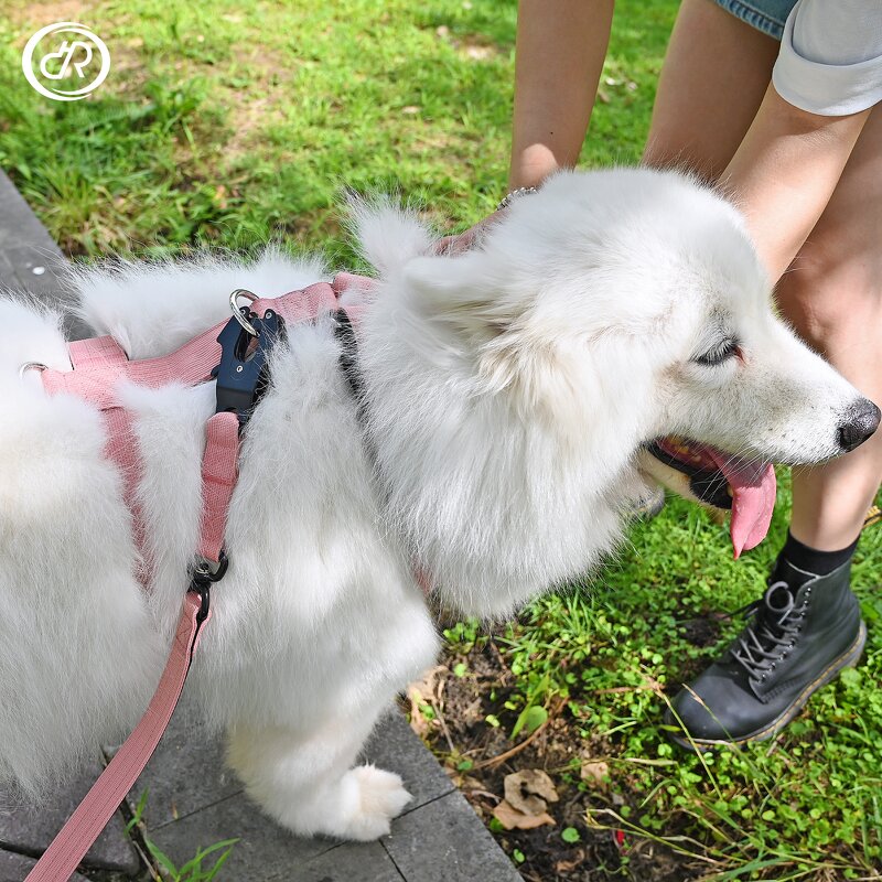 Step-In Dog Harness Manufacturer - Neoprene Voyager Adjustable No-Pull Customized