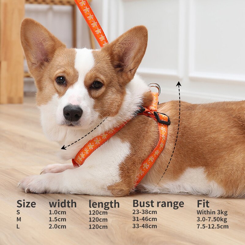 Anti-Escape Dog Leash Manufacturer - Heavy-Duty Breathable Adjustable Traction Rope