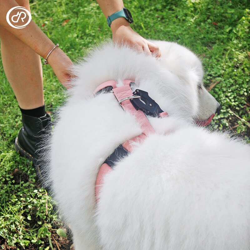 Step-In Dog Harness Manufacturer - Neoprene Voyager Adjustable No-Pull Customized