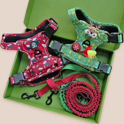 Christmas Dog Harness Set Manufacturer - OKKPETS Custom No Pull Collar Leash