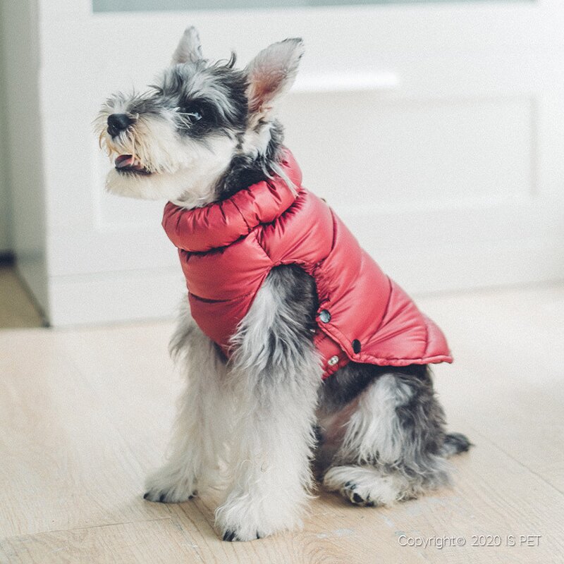 Winter Dog Jacket Manufacturer - High Quality Factory Wholesale Down Goose