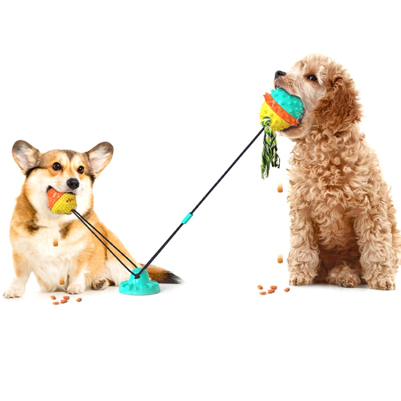 Dog Dental Chew Toy Set Manufacturer - Interactive Rope Hollow Rubber Treat Feeder