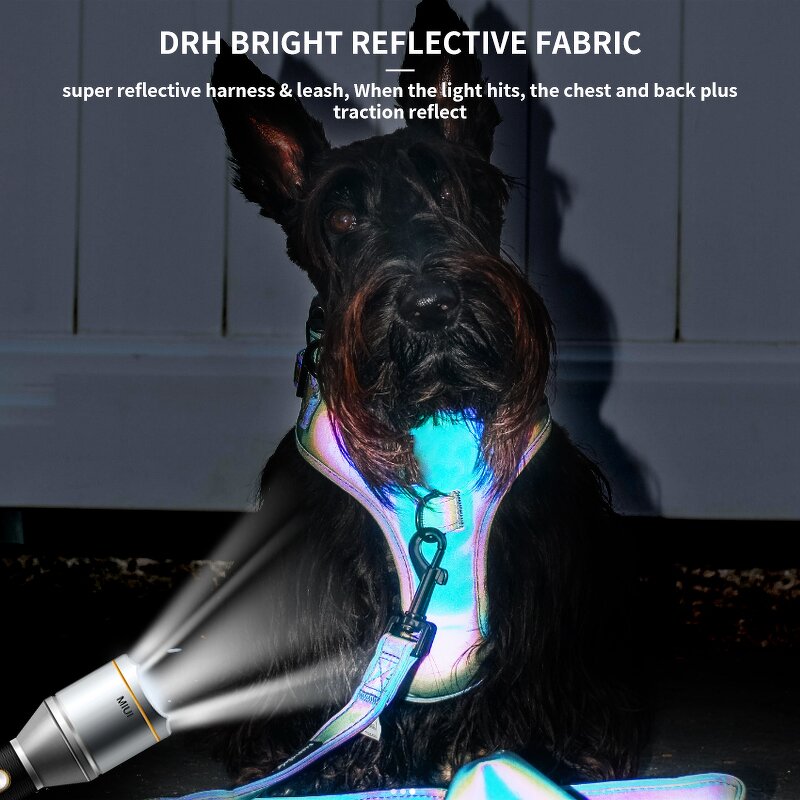 Luxury Dog Harness and Leash Set Manufacturer - New Arrival Reflective for Wedding