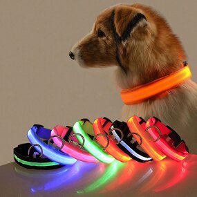 Rechargeable LED Dog Collar Manufacturer - Luminous Fluorescent Nylon Safety