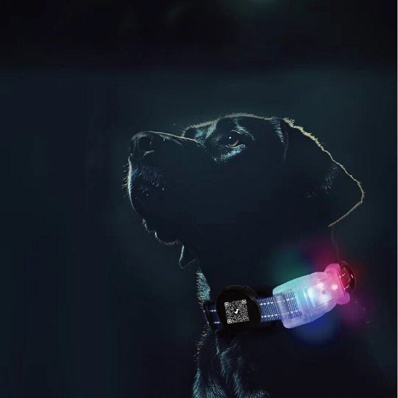 LED Dog Collar Manufacturer - Night Safety Flashing Glow in the Dark QR Code