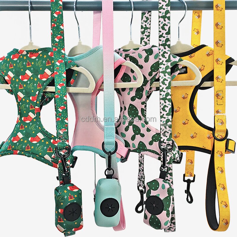 Personalized Dog Harness and Leash Manufacturer - Customized Logo and Pattern