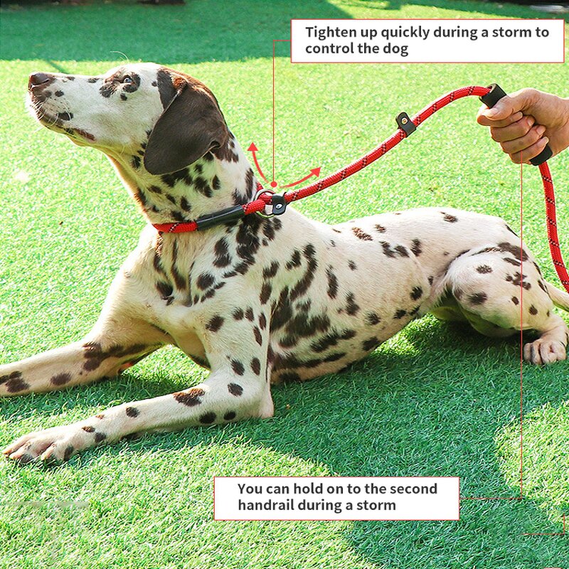 Strong Dog Leash Manufacturer - Wholesale Reflective Soft Handle Nylon Rope