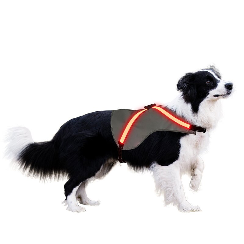 LED Pet Harness Manufacturer - 2024 New Design for Large Dog Light up