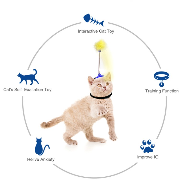 Funny Pet Stick Toy Manufacturer - Wholesale with Feather Cat Stick Chasing Toy