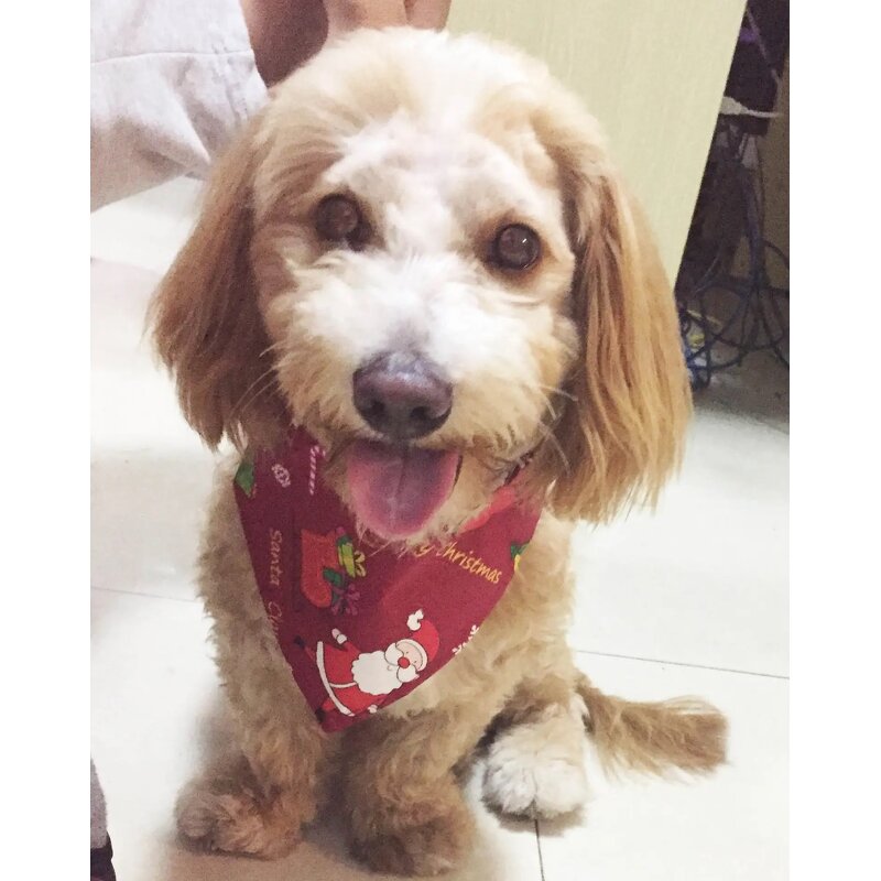 Christmas Pet Scarf Manufacturer - OKKPETS Hot Sale Triangle Plaid Dog Bandanas
