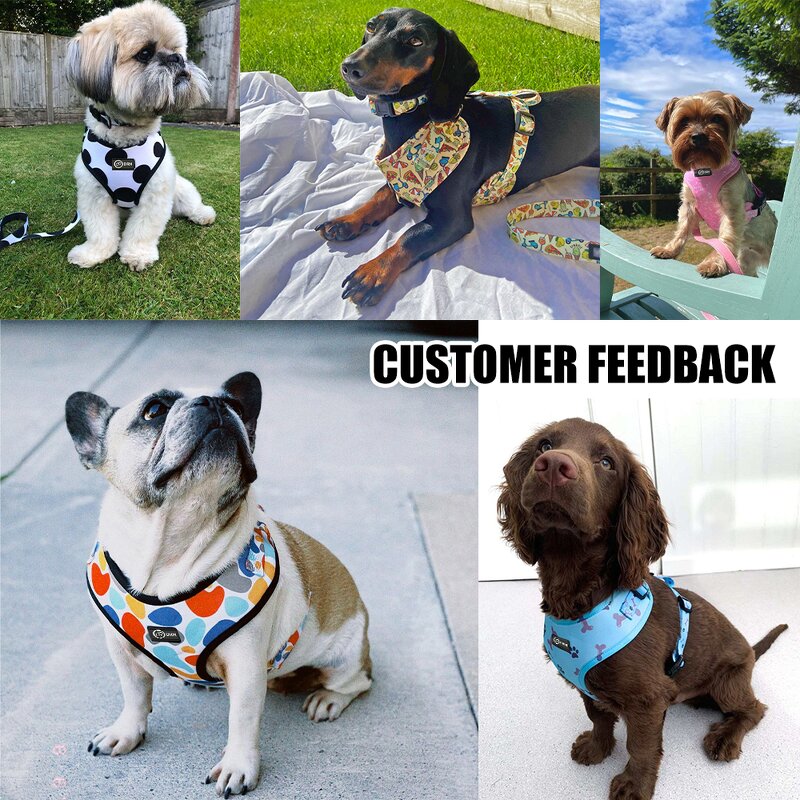 Personalized Dog Harness and Leash Manufacturer - Customized Logo and Pattern
