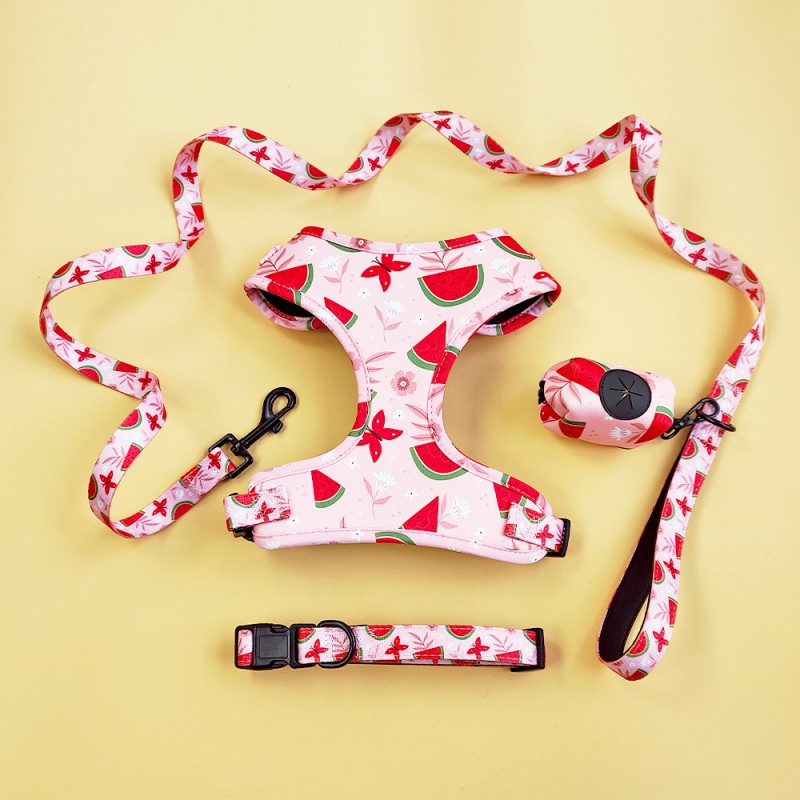 Dog Harness and Water Bottle Set Manufacturer - In Stock Free Sample for Outdoor