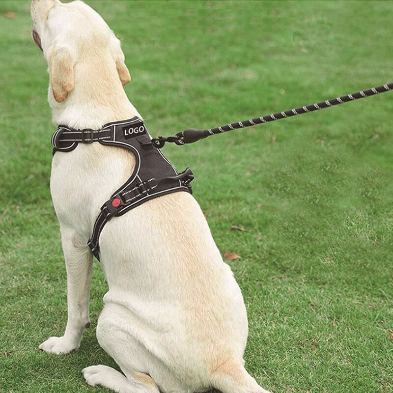 Soccer Texture Dog Harness Set Manufacturer - OEM/ODM Hot Sale for Training