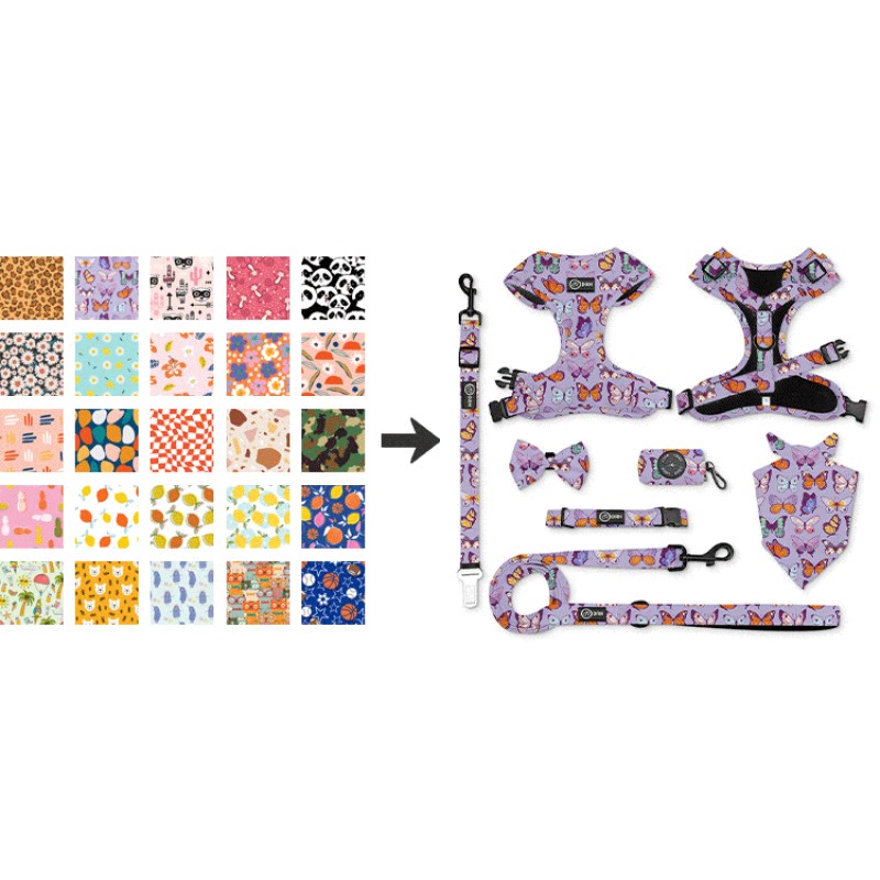 Dog Harness and Water Bottle Set Manufacturer - In Stock Free Sample for Outdoor