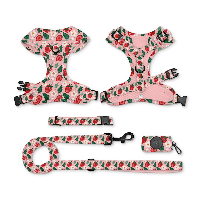 Designer Dog Harness and Leash Set Manufacturer - Breathable Adjustable Comfort