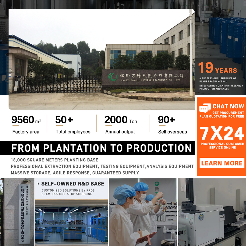 Linalool Manufacturer - CAS 78-70-6 99% Pure Wanlu Brand Bulk