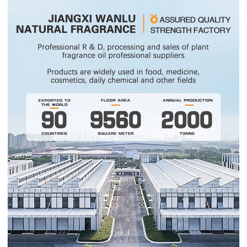 Pine Tree Oil Manufacturer - 85% Pure Pine Oil Bulk Supply