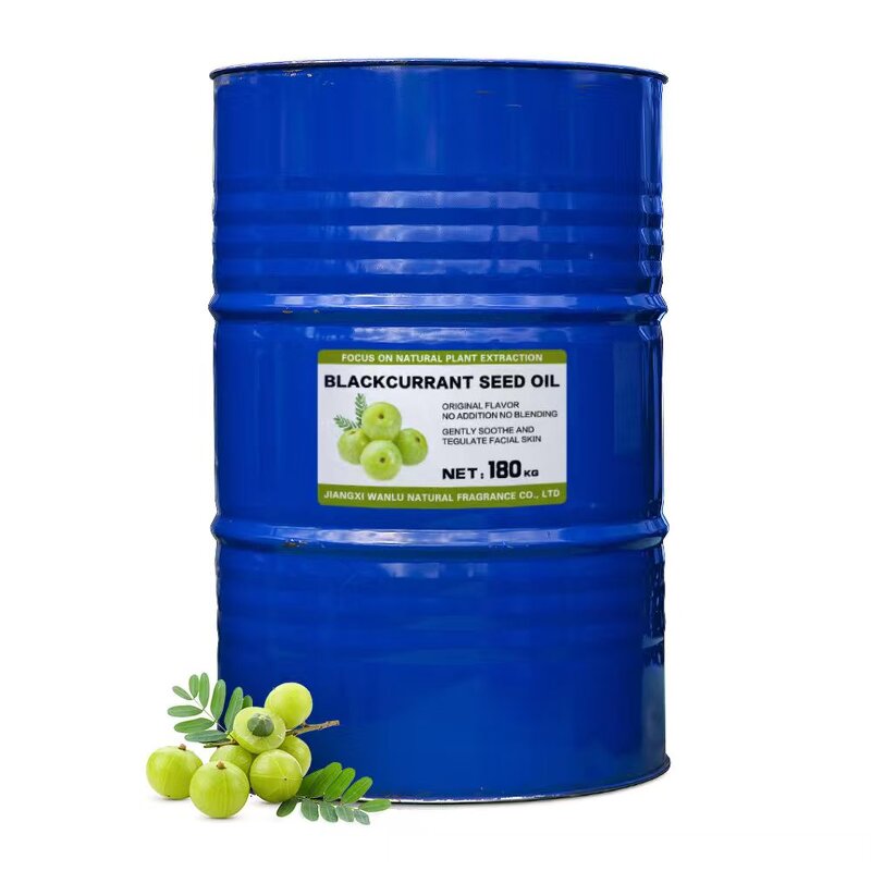 Blackcurrant Seed Oil Supplier - Cold Pressed Refined Nearly Odorless