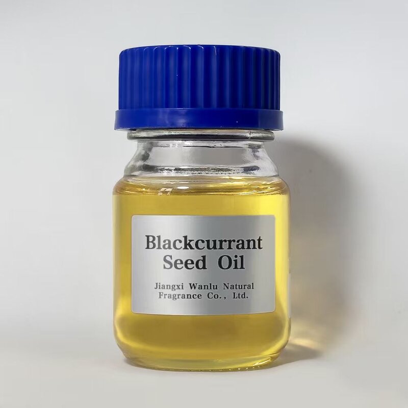 Blackcurrant Seed Oil Supplier - Factory Supply Cold-Pressed Cosmetic Grade