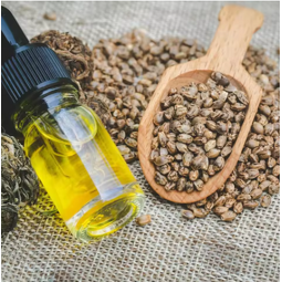 Hemp Seed Oil Supplier - Premium Quality for Skin Care Fresh Sweet Odor