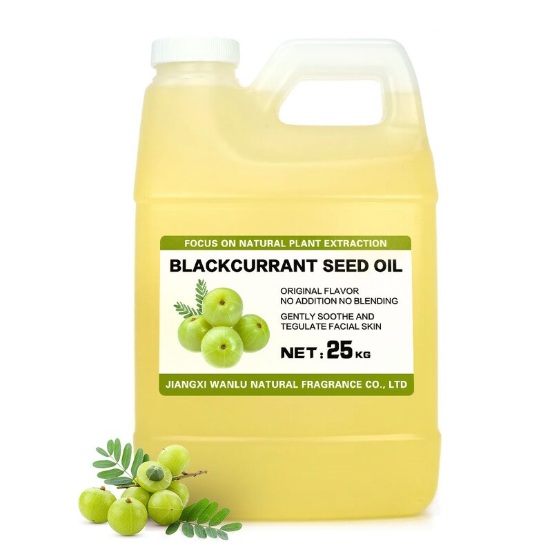 Black Currant Seed Oil Manufacturer - 100% Natural Cold Pressed Edible Oil