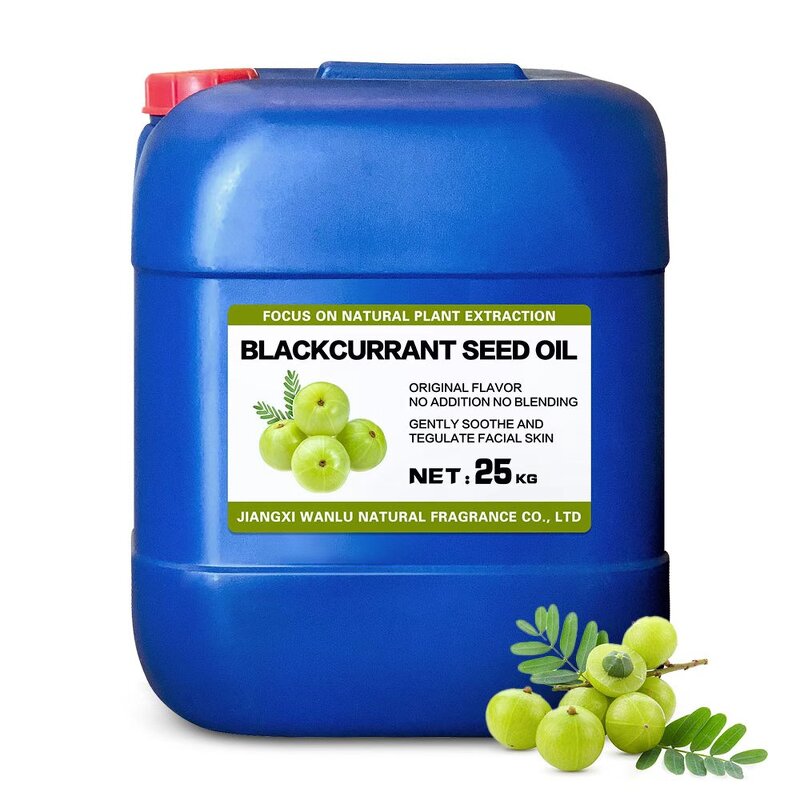Blackcurrant Seed Oil Supplier - Factory Supply Cold-Pressed Cosmetic Grade