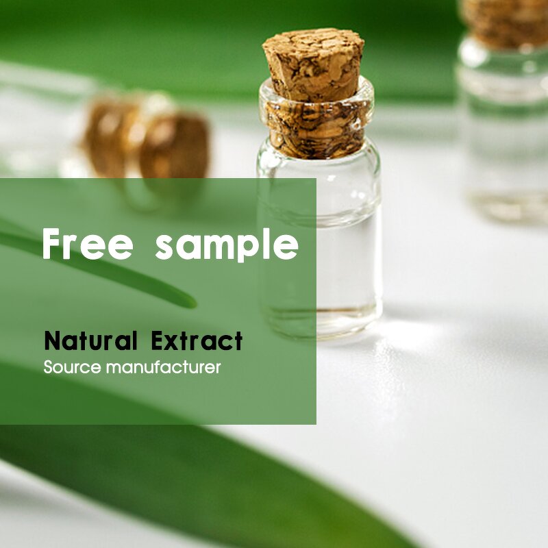 Tea Tree Hydrosol Factory - Factory Wholesale Perfume Pure Dew Cosmetic