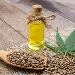 Hemp Seed Oil Manufacturer - High Omega 3-6-9 Organic Cosmetic Grade