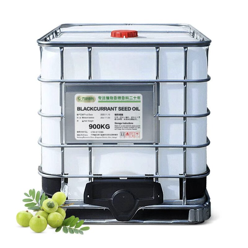 Blackcurrant Seed Carrier Oil Manufacturer - Cold Pressed for Skin Hair Body