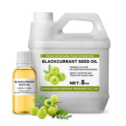 Black Currant Seed Oil Manufacturer - 100% Natural Cold Pressed Edible Oil