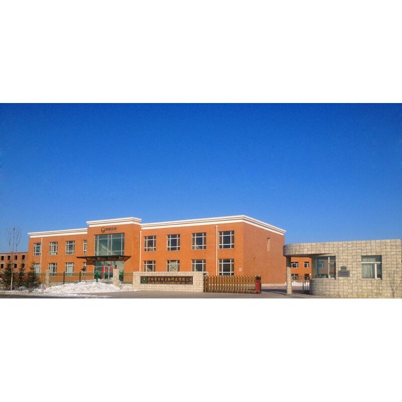 Borage Oil Manufacturer - Pure GLA 18% High Concentration Oil