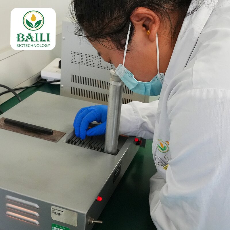 Borage Oil Manufacturer - Wholesale Bulk Organic High Quality with Best Price