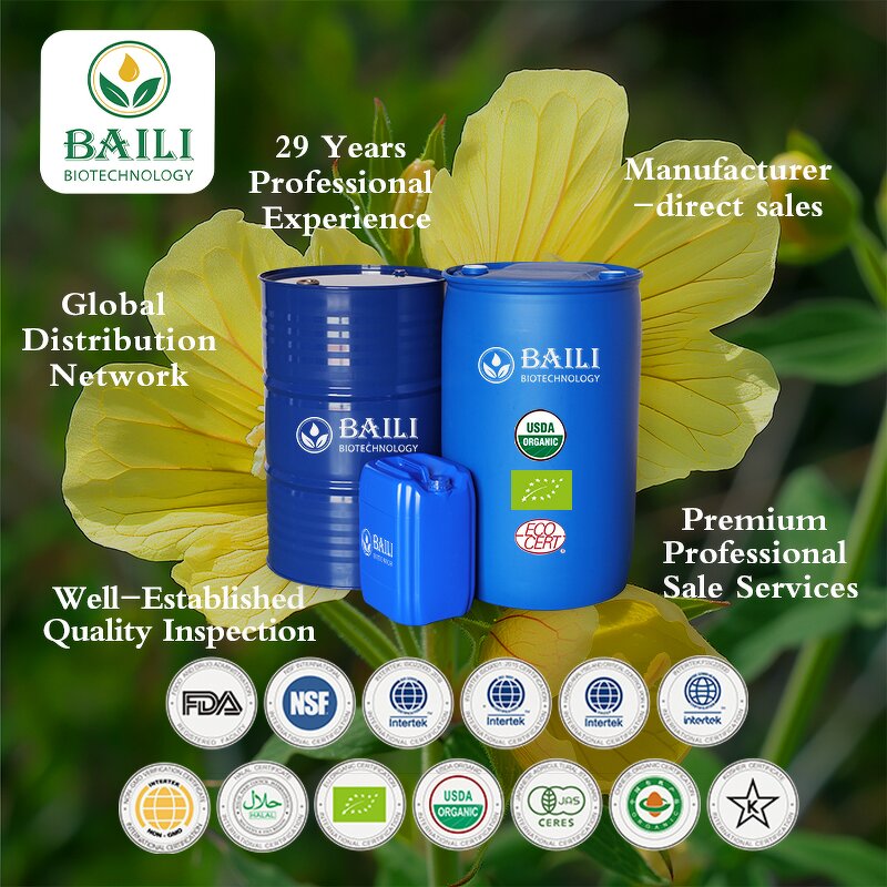 Evening Primrose Carrier Oil Manufacturer - Factory Supply Pure Organic Cold Pressed