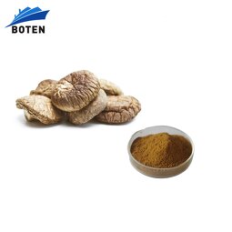 AHCC Mushroom Extract Supplier - High Quality Bulk Price