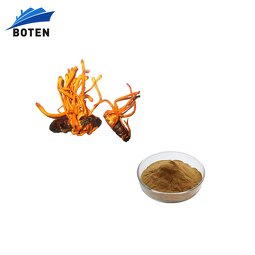 Cordyceps Militaris Extract Factory - Wholesale Price Fruit Body Extract Powder