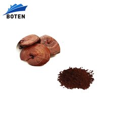 Mushroom Coffee Powder Supplier - OEM/ODM Wholesale Private Label Blend