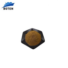 Gastrodia Elata Extract Manufacturer - Herbal Rhizoma Gastrodiae Extract Powder