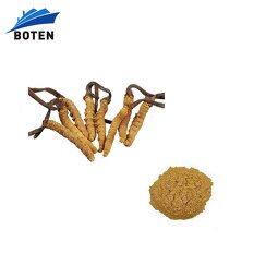 Cordyceps Militaris Extract Manufacturer - Factory Price 1% Cordycepin Organic