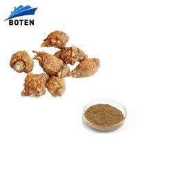 Maca Root Extract Powder Factory - Wholesale Bulk Macamide Powder