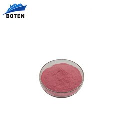 Cranberry Powder Factory - Wholesale Bulk 100% Natural Instant Drink