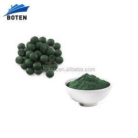 Spirulina Tablets Factory - Slimming Tablets Supplement