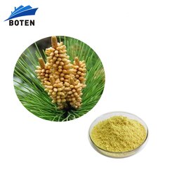 Pine Pollen Powder Factory - Wholesale Bulk 99% Cell Wall Broken