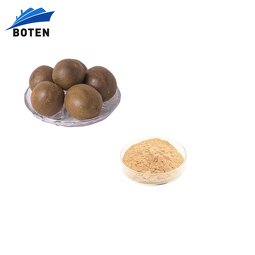 Monk Fruit Extract Powder Factory - Competitive Price Organic 100% Pure Mogroside V 50%