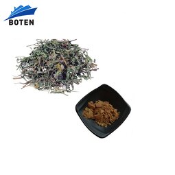 Dandelion Extract Powder Supplier - Wholesale Bulk Price Organic Herbal Flavone